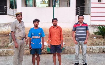 କାଲିମେଳା ପୋଲିସ ଦ୍ୱାରା ୩୭୫ କି ଗ୍ରା ଗଞ୍ଜେଇ ଜବତ, ୨ ଗିରଫ