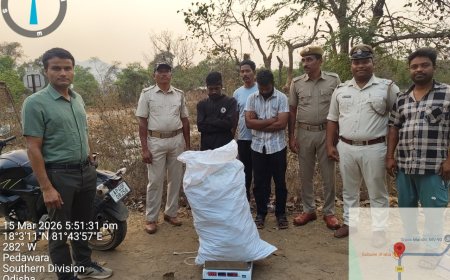 କାଲିମେଳା ପୋଲିସ ଦ୍ୱାରା ୨୨ କେଜି ଗଞ୍ଜେଇ ଜବତ, ୨ ବେପାରୀ ଗିରଫ