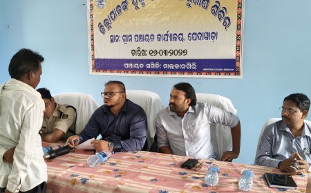 ପେଦାୱାଡ଼ାରେ ଜିଲ୍ଲା ସ୍ତରୀୟ ଅଭିଯୋଗ ଶୁଣାଣି ଶିବିର: ଲୋକଙ୍କ ସମସ୍ୟା ବୁଝିଲେ ଜିଲ୍ଲାପାଳ*