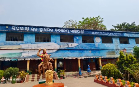 ଗୋଷ୍ଠୀ ଶିକ୍ଷାଅଧିକାରୀ  ଙ୍କ ଆଦେଶନାମାକୁ ଶିକ୍ଷୟତ୍ରୀ ଙ୍କ ବେଖାତିର, ବିଦ୍ୟାଳୟ ରେ ଅଚଳା ବସ୍ଥା ଜାରି