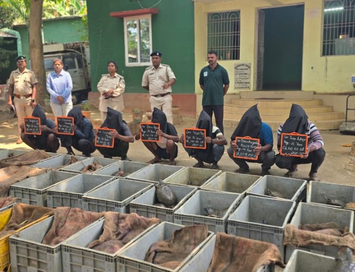 ମୋଟୁ ବନବିଭାଗ ଦ୍ୱାରା ୬୩୧ ଗୋଟି ଫ୍ଲାପ କଇଁଛ ଜବତ, ୭ ବେପାରୀ ଗିରଫ