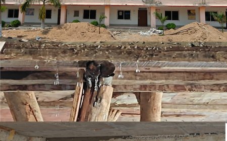 ଗୃହ ବିଭାଗ ଦ୍ୱାରା ନିର୍ମାଣାଧୀନ ଛାତର  ସ୍ଥାୟୀତ୍ୱକୁ ନେଇ ଉଠିଛି ପ୍ରଶ୍ନ, ନୂତନ ଛାତରୁ ଗଳୁଛି ପାଣି