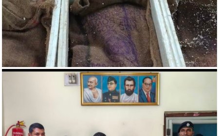 ମାଲକାନଗିରି ଜିଲ୍ଲା ପଦ୍ମଗିରି ଛକ ରୁ ବନବିଭାଗ ଦ୍ୱାରା ୩୨୯ ଗୋଟି କଇଁଛ ଜବତ, ତିନି ଚାଲାଣ କାରୀ ଗିରଫ