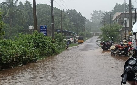 ଏମ୍‌ଭି-୭୯ରେ ଡ୍ରେନେଜ୍ ସମସ୍ୟା ଉତ୍କଟ,  ସାମାନ୍ୟ ବର୍ଷାରେ ରାସ୍ତା ଜଳମଗ୍ନ, ଦୁର୍ଦ୍ଦଶା ଭୋଗୁଛନ୍ତି ଗ୍ରାମ ବାସୀ
