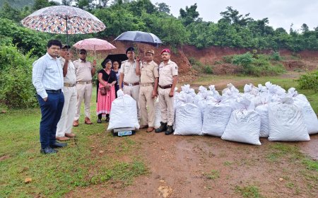 କାଲିମେଳା ପୋଲିସ ଦ୍ୱାରା ୧ କୁଇଣ୍ଟାଲ ୨୫ କିଲୋଗ୍ରାମ ଗଂଜେଇ ଜବତ, ବେପାରୀ ଫେରାର